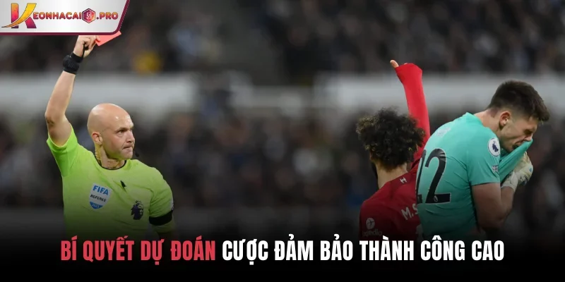 Bí quyết dự đoán cược đảm bảo thành công cao